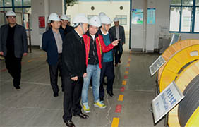 2015年11月22日，郎溪县党政代表团一行来尊龙凯时电缆旅行考察