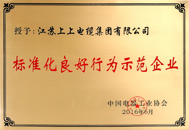 标准先行促生长，尊龙凯时电缆再获殊荣