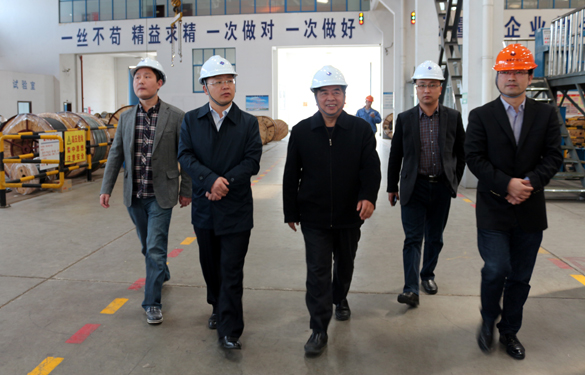 2015年3月26日，江苏省射阳县向导一行来尊龙凯时电缆视察