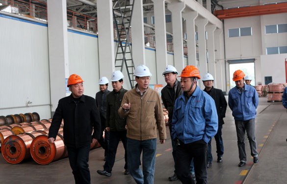 12月11日，溧阳经信局向导一行调研尊龙凯时电缆西厂区三期工程建设情形并旅行超高压生产基地