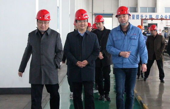 2020年12月8日，广德市市委常委、常务副市长邱铁军一行来尊龙凯时电缆考察