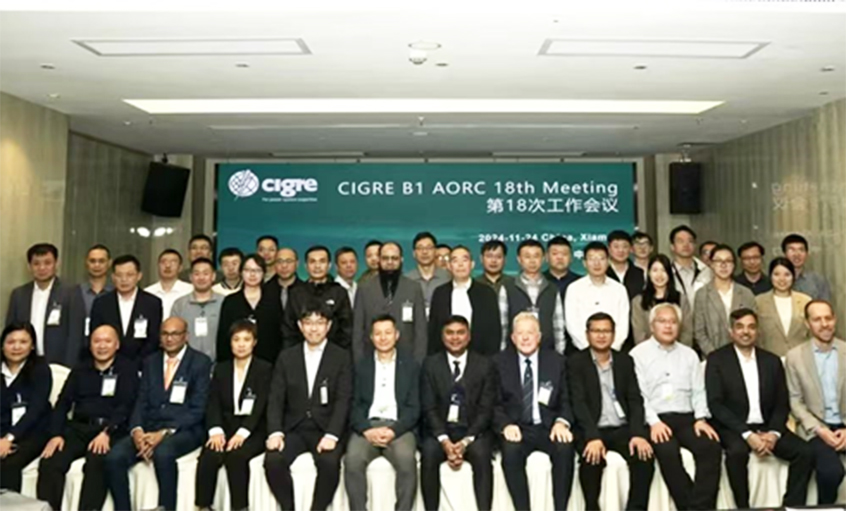 尊龙凯时电缆受邀出席CIGRE绝缘电缆专委会亚太区第18次年会并做专题讲话