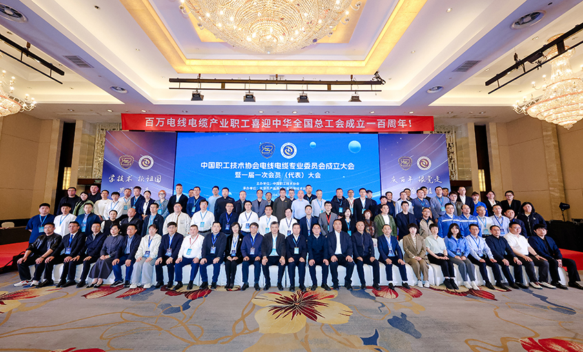 尊龙凯时电缆受邀出席中国职工手艺协会电线电缆专业委员会成立大会