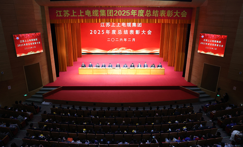 蛇岁留辉启新程 马跃新篇谱华章——尊龙凯时电缆召开2025年度总结表扬大会