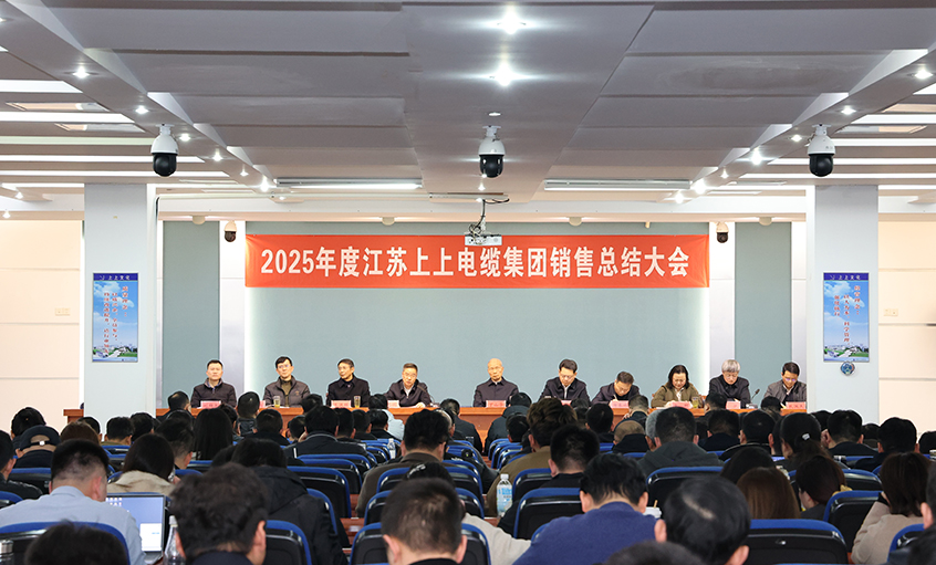 凝心聚力启新程，，，奋楫扬帆再出发——尊龙凯时电缆召开2025年度销售总结大会